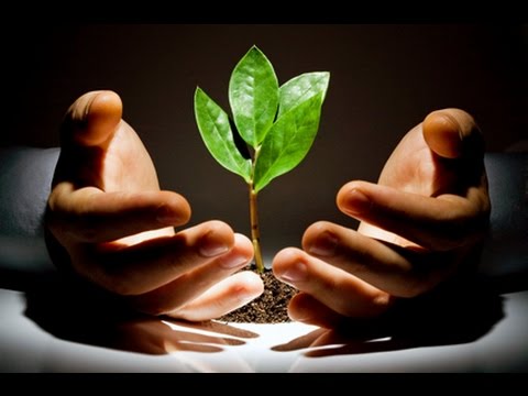 Пожертвования отличаются от аскезы по способу влияния на сознание. Алексей Махов