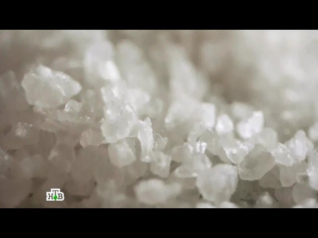 "Еда живая и мёртвая": Все о соли, лаваше, грибах и корнеплодах (19.11.2016)