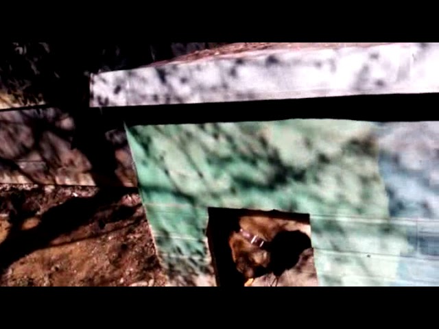 Средь Естества Чудес Мысли Труды и Лес