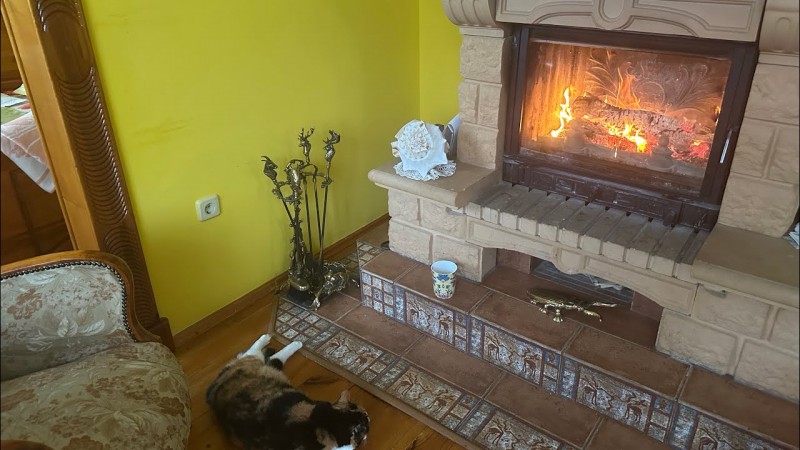 Январь на даче. Обзор участка. Что выращиваю на стеллаже. Результат зимнего укоренения цветов