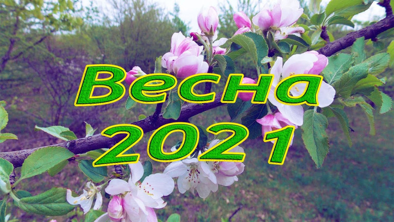 Весна во всей красе