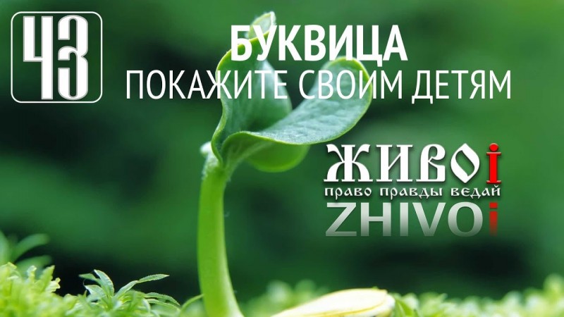 Буквица - дайте посмотреть своим детям