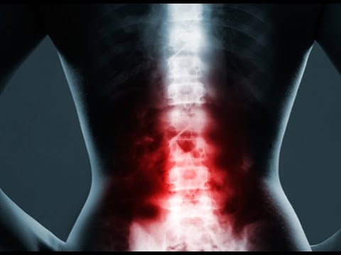 Закрывайте спину и горло. Алена Полынь