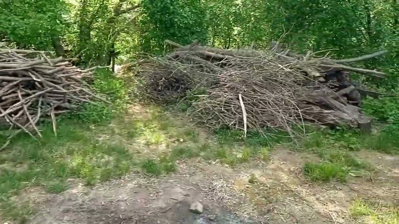 477 23.04.2024 Очистка От Лесного Лома