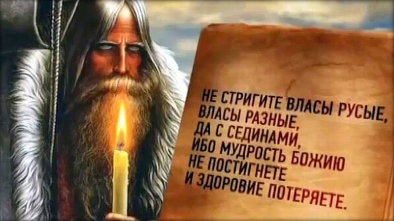 Тайна волос человека