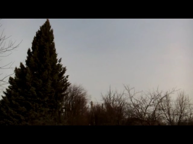 Быт и Мысли с Думами