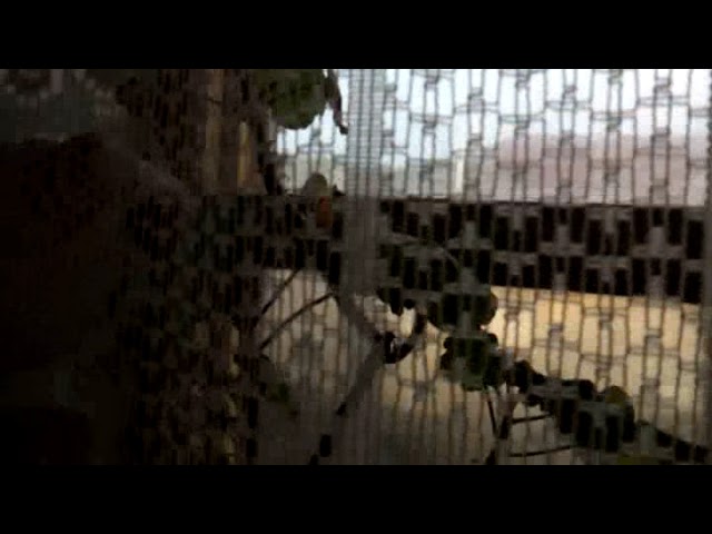 Бытность "дармоеда-нахлебника"