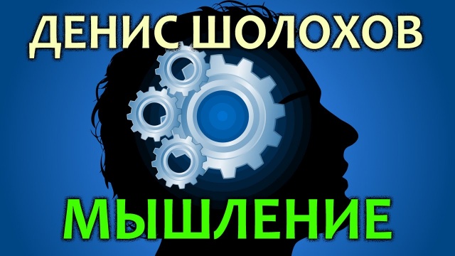 Денис Шолохов. Мышление