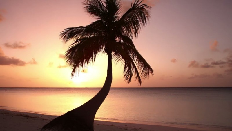 Extremely Relaxing Musicpiece for Sleep with Serene Beach Paradise Vibes