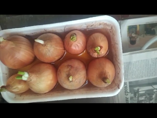 02.03.2024 Мой Лук.