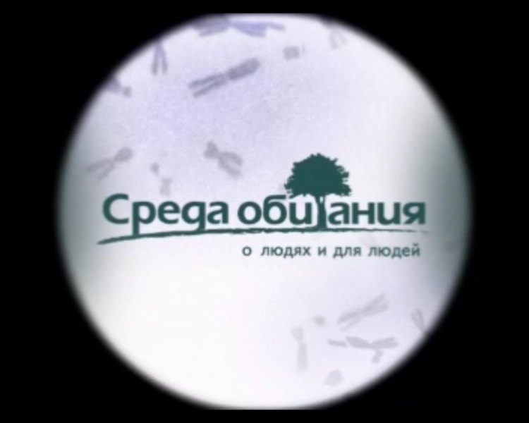 Репортаж о поселении родовых поместий Лесная Поляна в программе Среда обитания на канале ТНВ