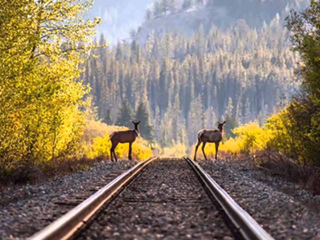 Одна из лучших песен о России