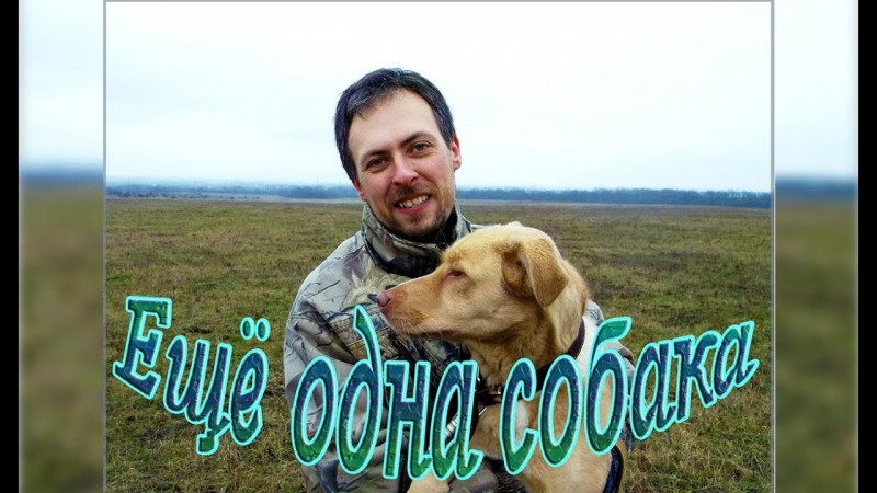 Ещё одна собака