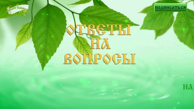 Ответы на вопросы радиослушателей. 28.08.16. Народное Славянское радио
