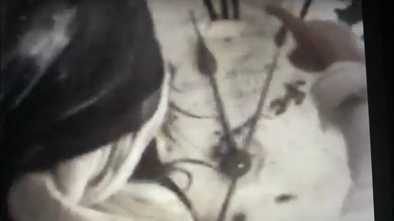 LOVER-SAY-SUN #5 NO JIVE!THIS WAS YR-1 AT DP'S HOUSE!LITERALLY 20 YR'S AGO!BUT SEEMS LIKE WEEKS AGO!