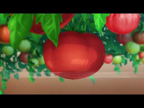 Томаты - Деревья (Подтверждение) Mahoutsukai no Yome