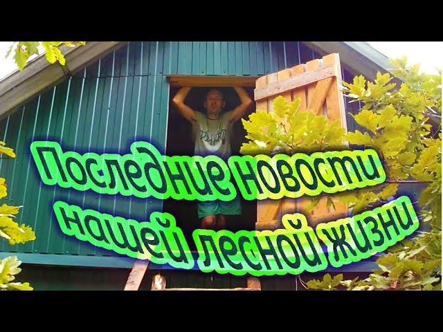 Последние новости нашей лесной жизни