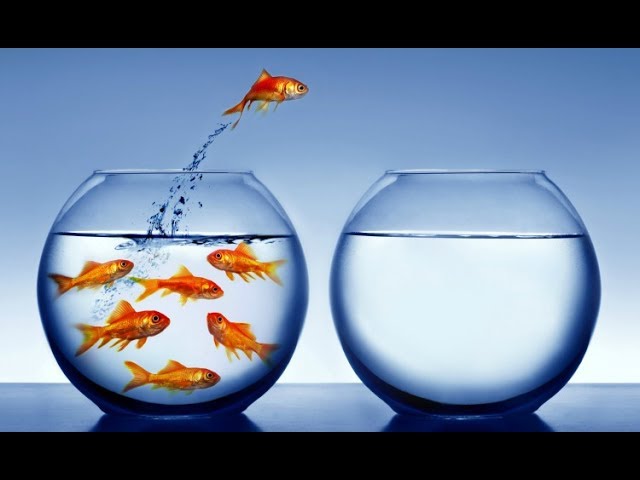 Свобода выбора и есть ли выбор в жизни человека? Андрей Верба