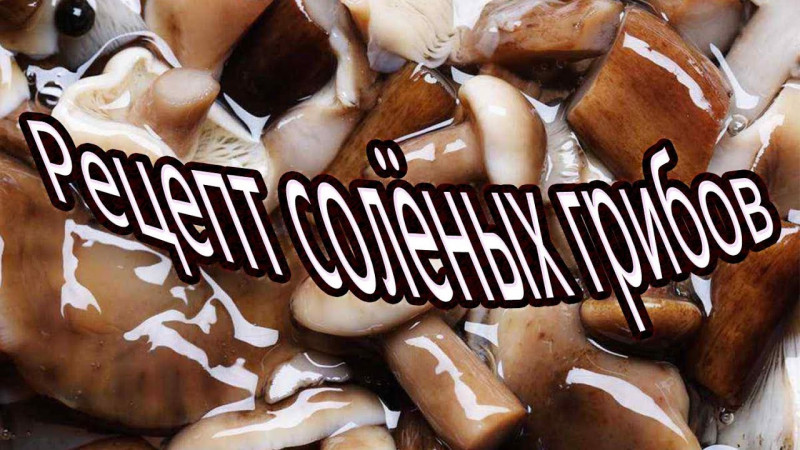 Рецепт солёных грибов