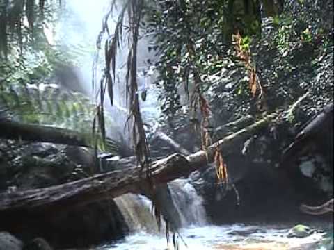 Детский тренинг в Камбодже "Маугли"