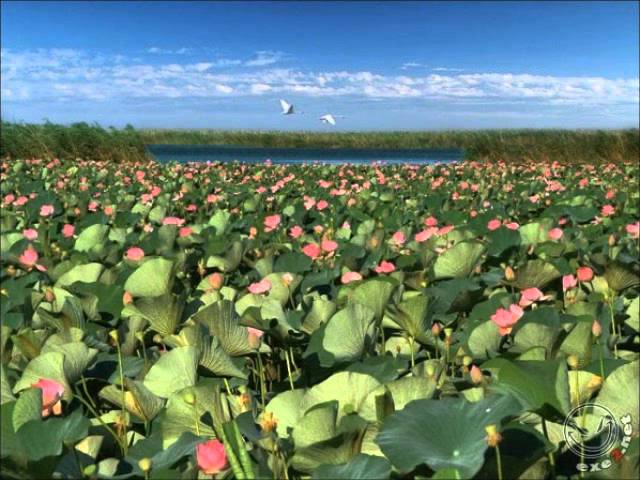 Полет кондора. Музыка ПОЛЬ МОРИА