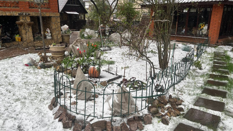 Дача в мае . Снегопады морозы . Обзор теплиц и участка