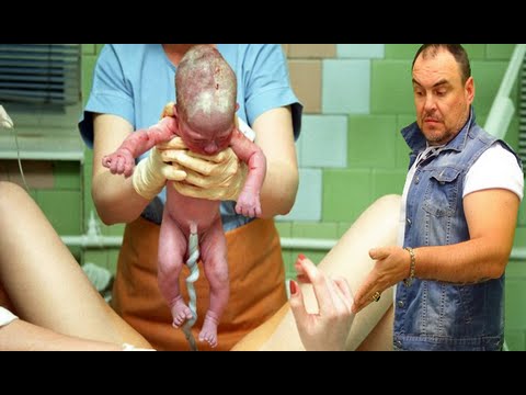 Кровь.  Плацента.  Роды и пуповина.  Виктан.