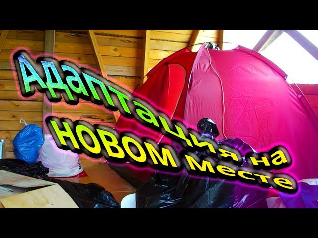 Адаптация на новом месте