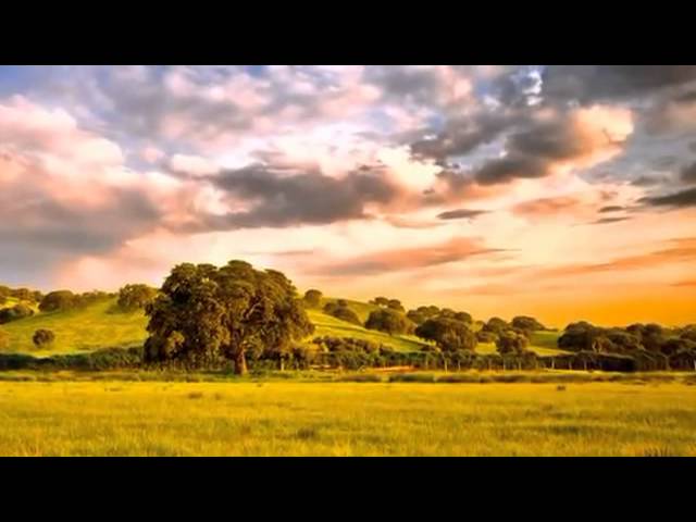 Велеслава Венок Венчальный