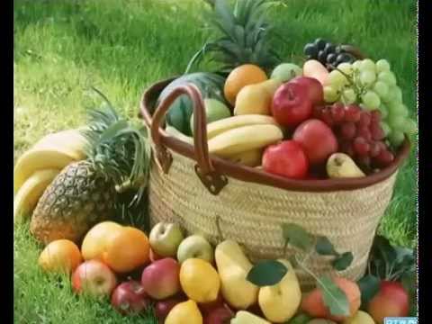 Гражданин и Земля