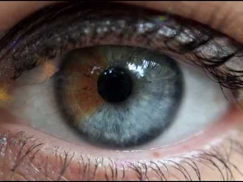 Светлана Копылова - Цепочка хромосомная