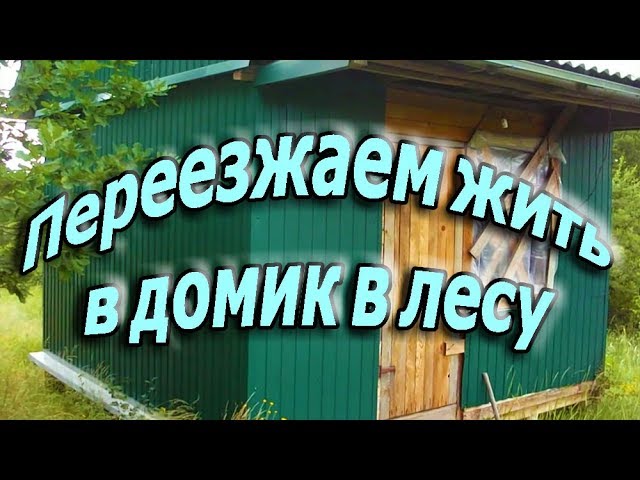 Мы переезжаем в домик в лесу! Первые трудности освоения участка ищем воду и дорогу