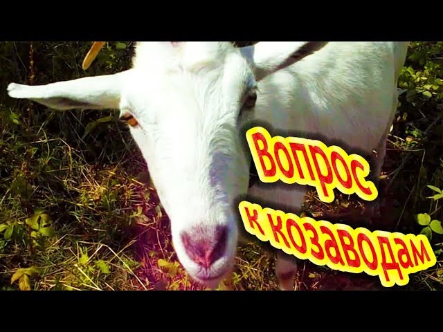 Вопрос к козаводам