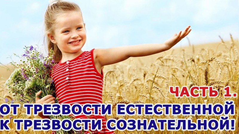 Воспитание детей Часть 1. От Трезвости естественной к Трезвости сознательной.