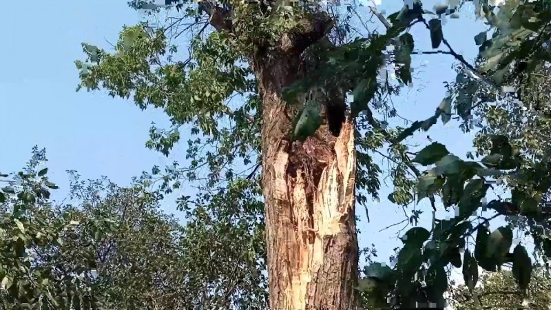 581 13.07.2025 Пылевая Буря и устранение последствий