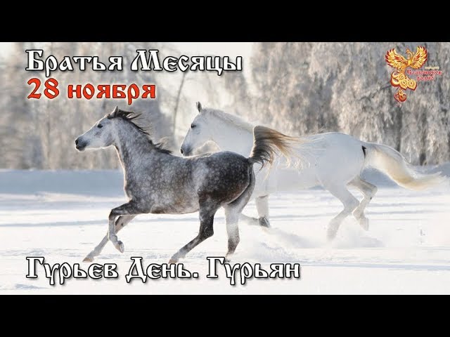 Братья месяцы 28-е ноября - Гурьев День. Гурьян