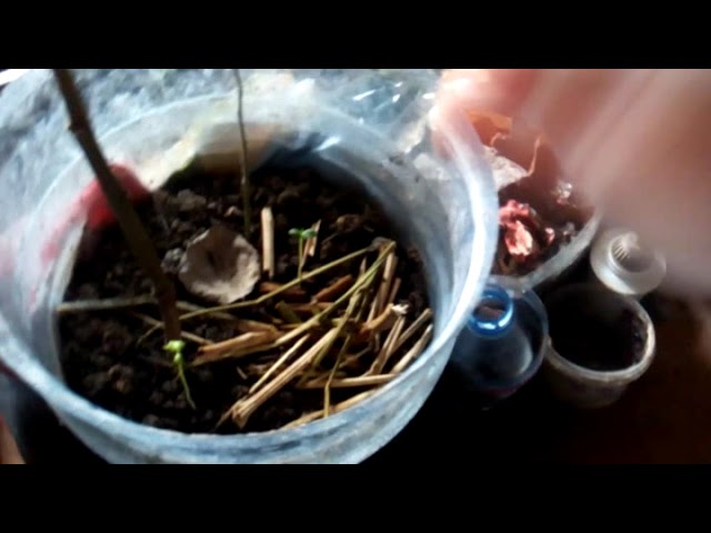 Мелочи по Быту и прочее