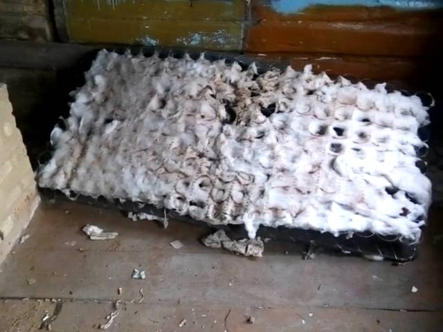 Обзор дома в деревне