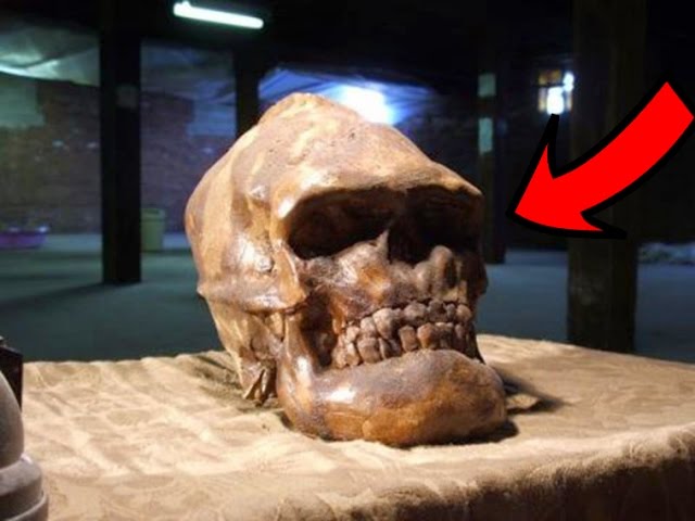 Почему эта находка испугала ученых и была засекречена Зачем скрывают могилу ВИЛИКАНА