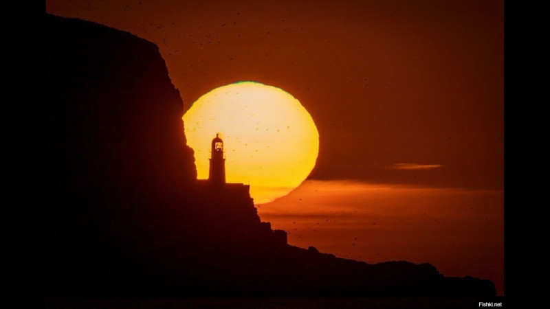 462-й Живой ПОТОК 2024.02.27 20-01-20 на ресурсе «Ник Смотровой»  ПОД ФИЛЬТР,  КАК И ВСЁ И ВСЕХ