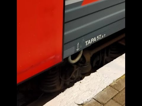 Растительные Моменты и бытность