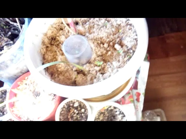 Моменты Быта и Мысли