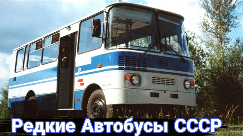 Советские автобусы, о которых мало кто знал.