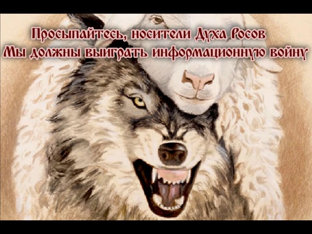 Кое-что о дубах и волках.  Род ЯР. Тезисы Живого Знания