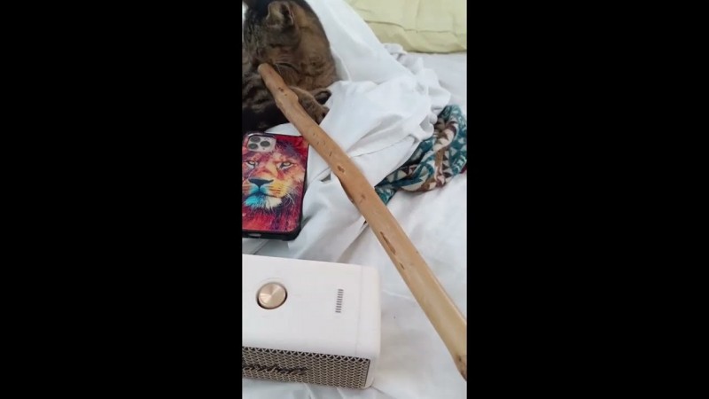 ATT SeTh T MickFARkin WE BE WONDERKin HOW U&UR ATTORNEYS SPIN THIS UNHOLYwood BIZ?OR IS IT HOLYWOOD?