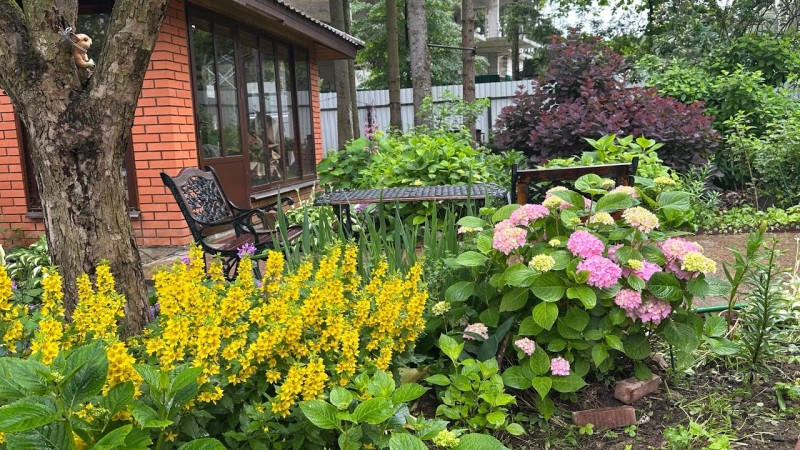 Выходные на даче в Подмосковье. Готовлю салат . Заготовка лекарственных трав для чая