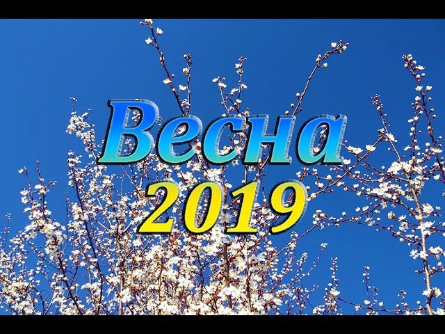 Видеозарисовка - весна 2019