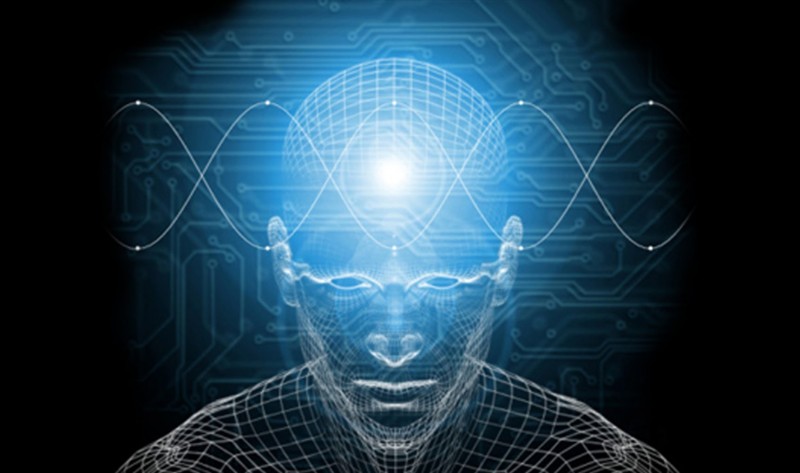 Золотое сечение  документальный фильм