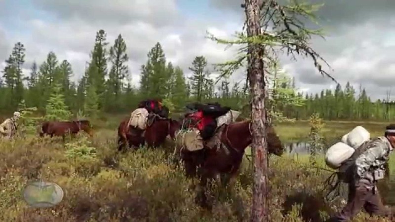 Фильм "Хлебное дерево Сибири"