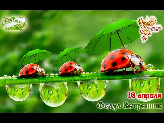 Братья Месяцы. 18 апреля - Федул Ветренник